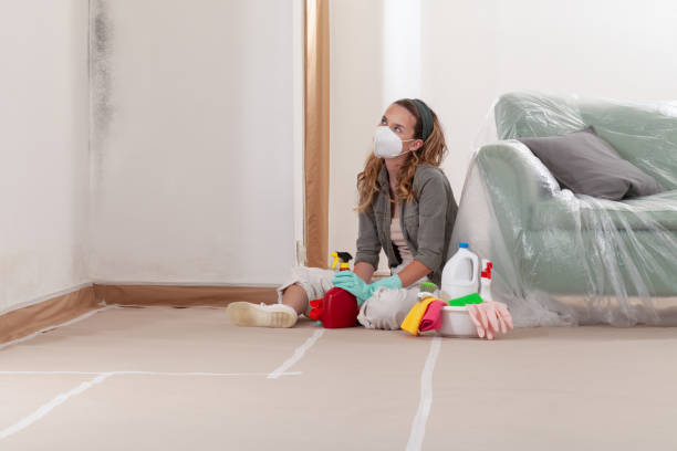 Reliable Mold Remediation contractor in Bridgeport, MI by 24 Hour Mold Removal